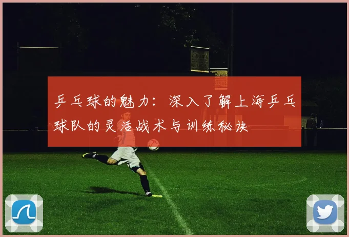 乒乓球的魅力：深入了解上海乒乓球队的灵活战术与训练秘诀